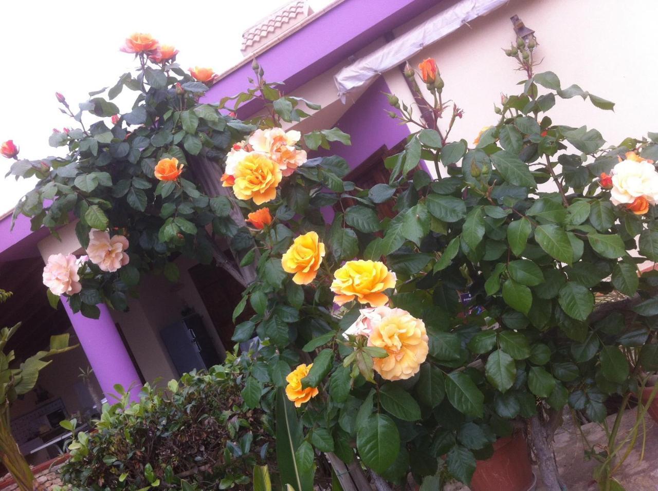 Casa Vacanze Surriano Sciacca Exterior foto